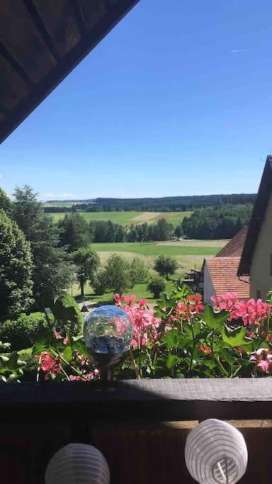 Modernes Mit Herrlichem Blick Ins Gruene Apartment *
