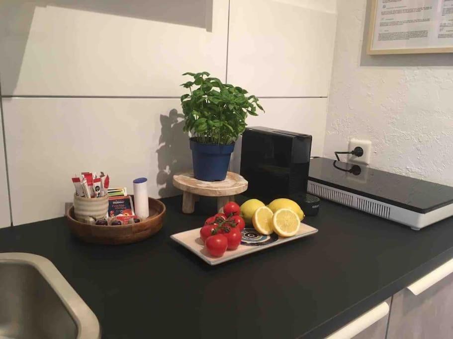 Modernes Mit Herrlichem Blick Ins Gruene